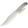 Blank 7716 Blade Clip Point Knife With Stainless Handle