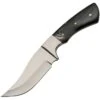 Pakistan 8023HN Fixed Stainless Clip Point Blade Blade Knife With Buffalo Horn Handle